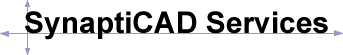 SynaptiCAD Services